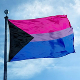 Demi-Bisexual Pride Flag
